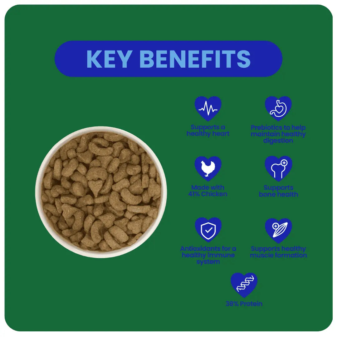 Burgess Excel Ferret Food 2kg