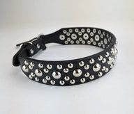 Vps Flat Studded Collar Large