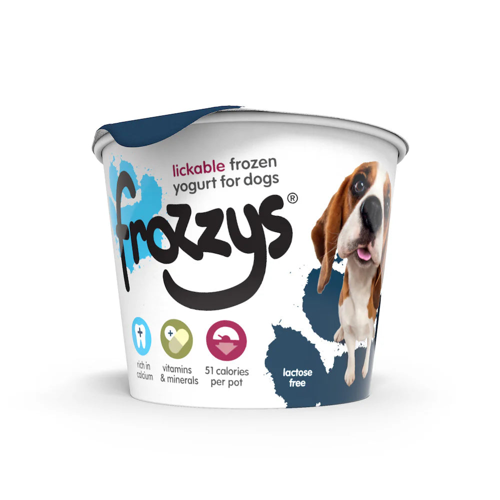 Frozzys Frozen Yoghurt Blueberry 4 x 85g