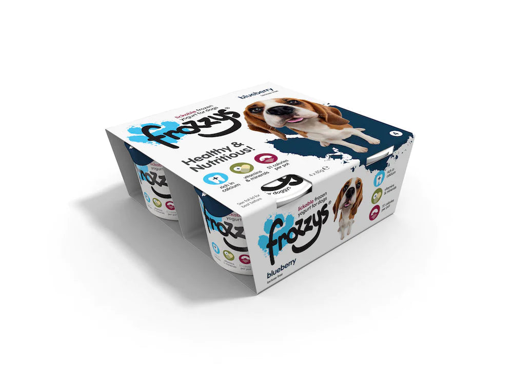 Frozzys Frozen Yoghurt Blueberry 4 x 85g