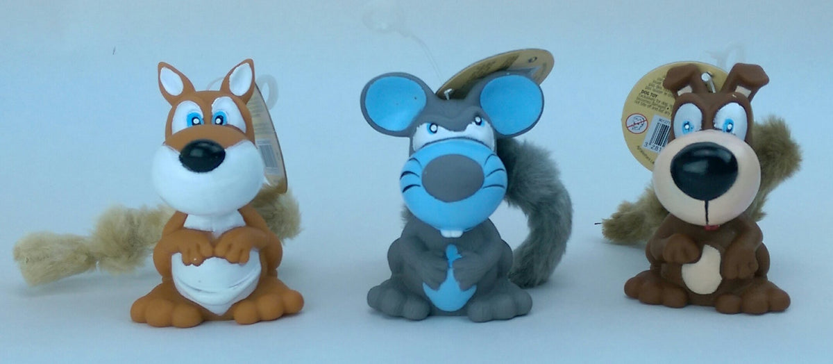 Squirrel Chew
