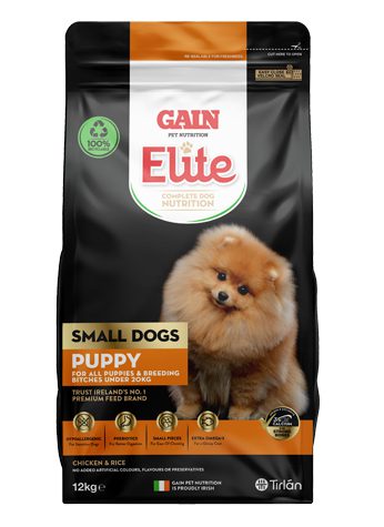 Gain Elite Small Dog Puppy