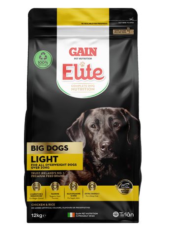 Gain Elite Big Dog Light