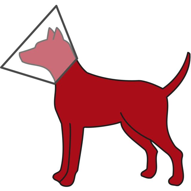 Trixie Protective Pet Cone