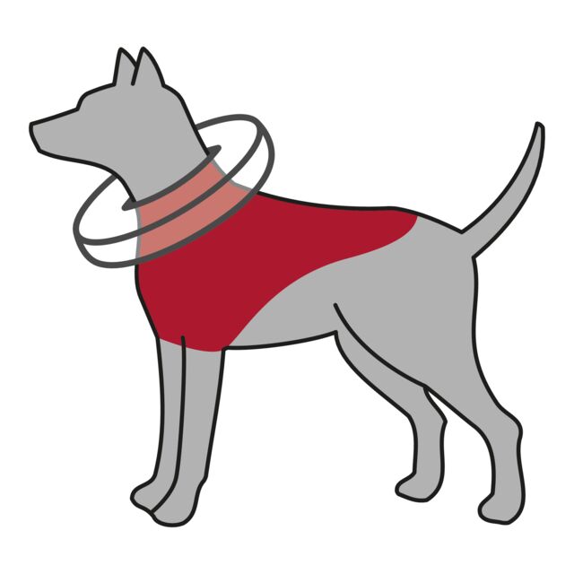 Trixie Protective Collar XS