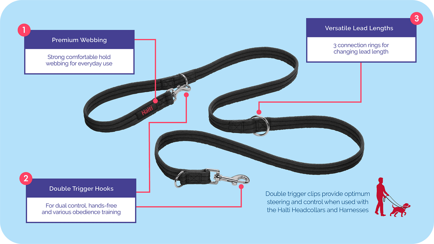 Halti Training Lead Black