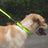 Panda Pink Reflective Padded Dog Lead