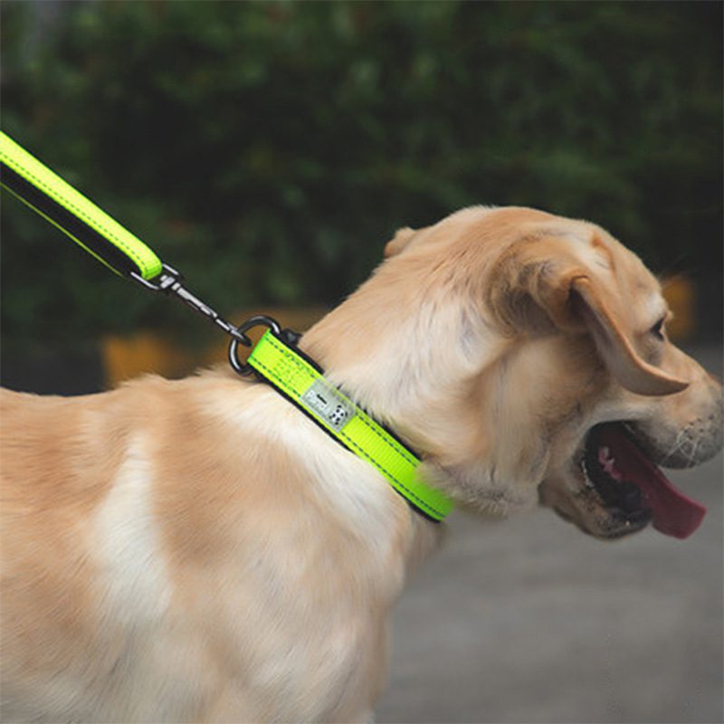 Panda Pink Reflective Padded Dog Collars
