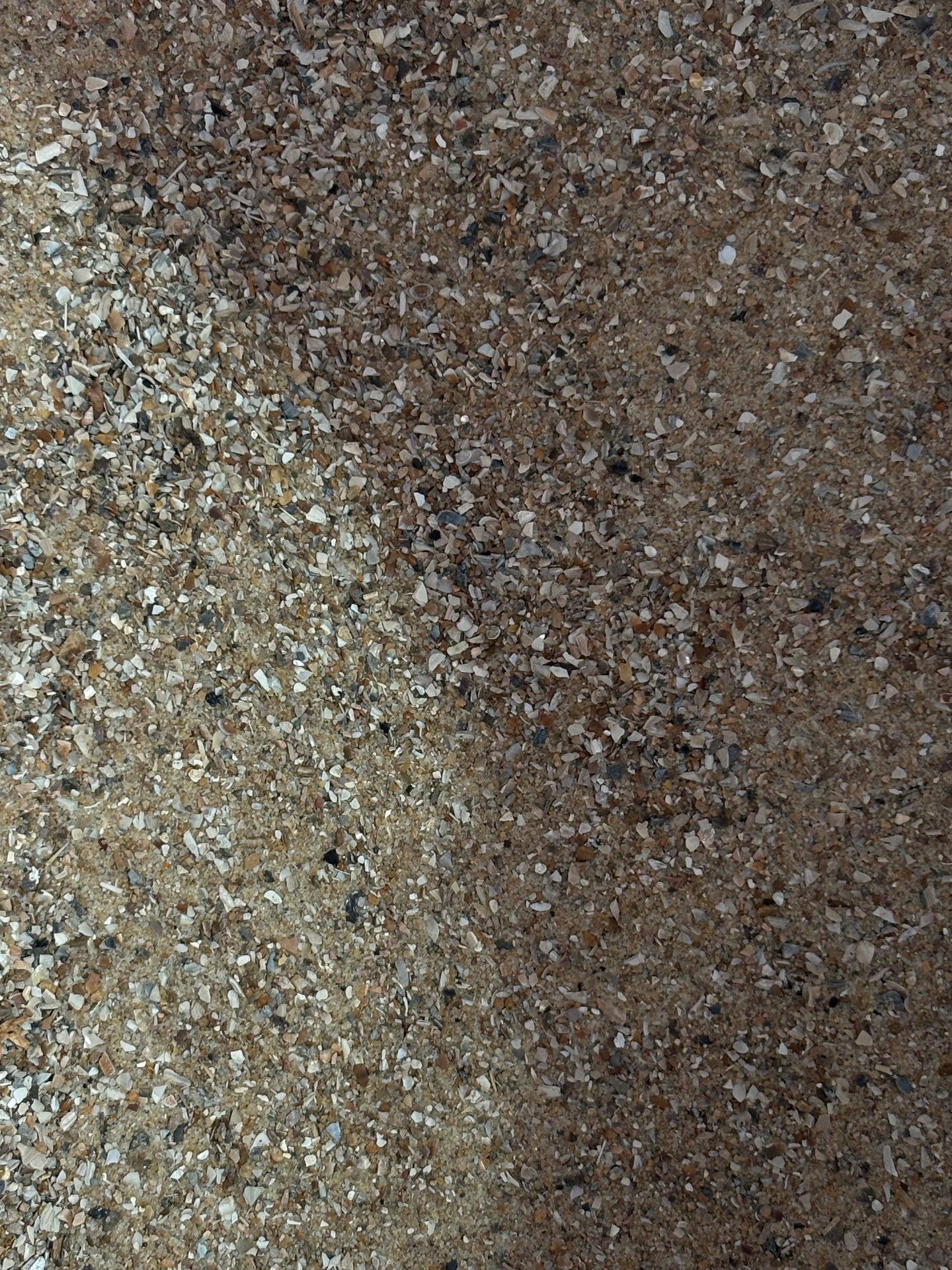 Bird Sand with Aniseed 2kg