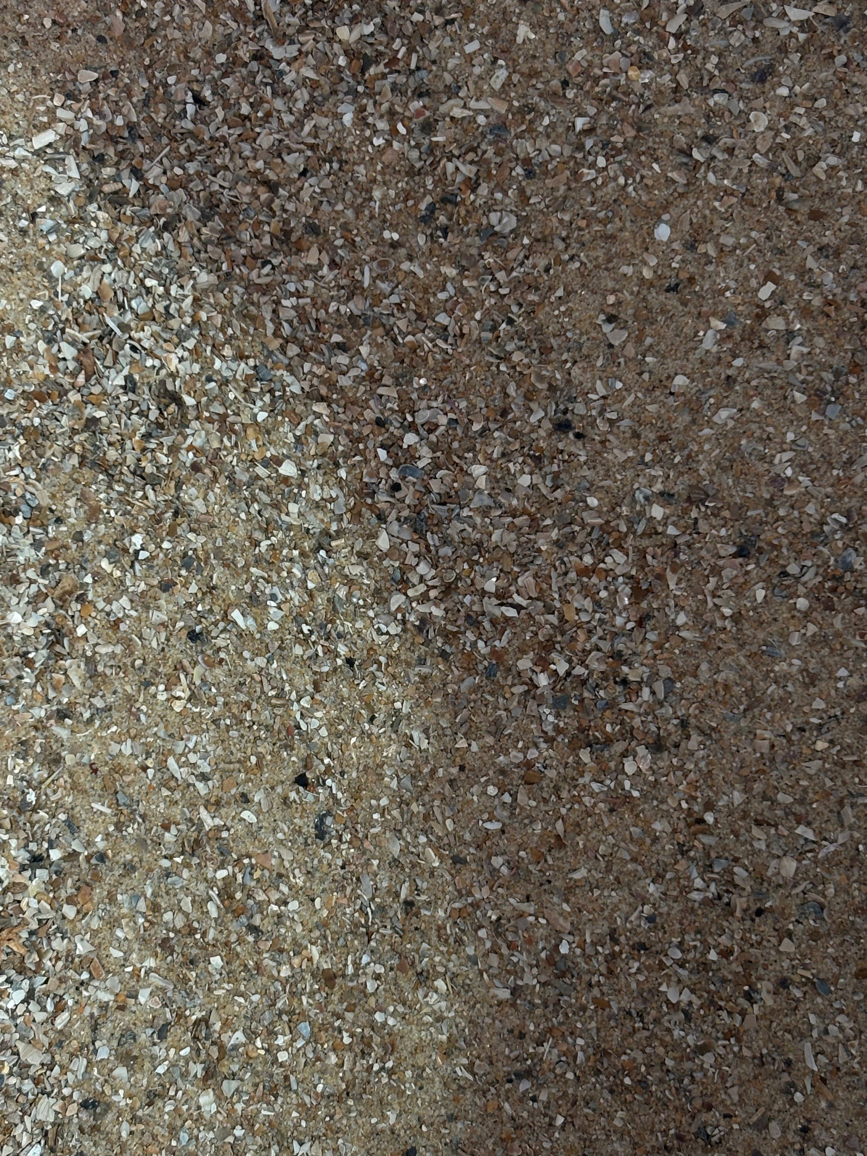 Bird Sand with Aniseed 2kg