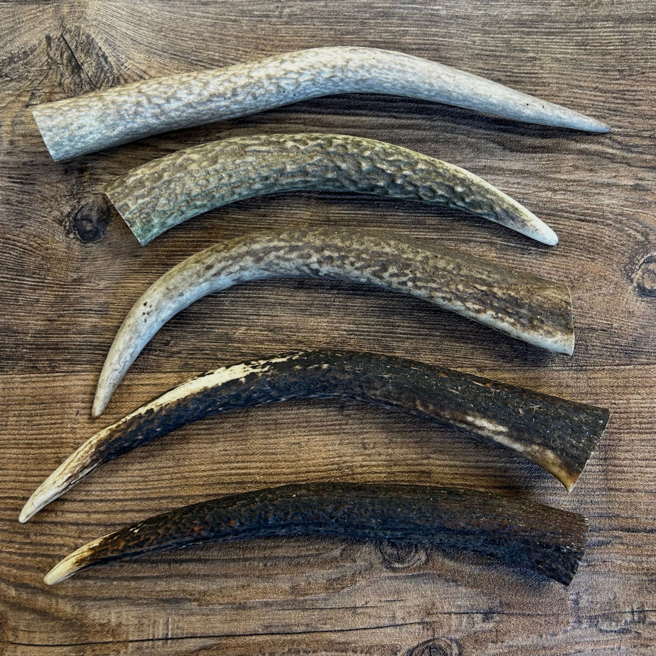 Deer Antler Points - Natural Tough Dog Chew