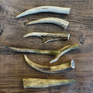 Deer Antler Points - Natural Tough Dog Chew