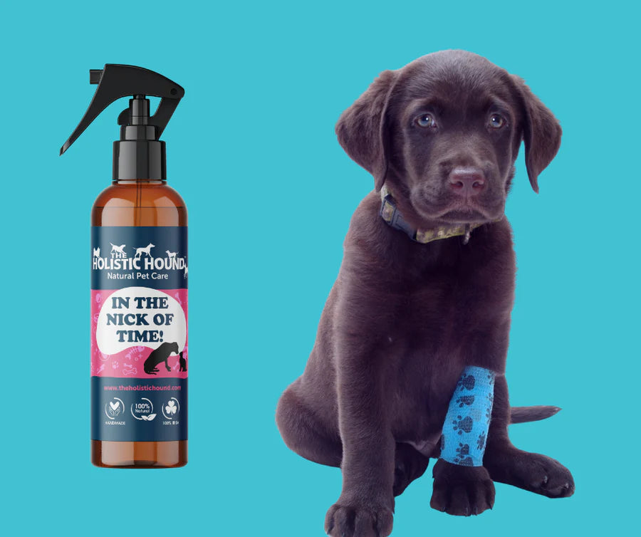 Holistic Hound In the Nick of Time Healing Spray 100ml