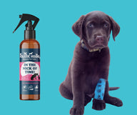 Holistic Hound In the Nick of Time Healing Spray 100ml