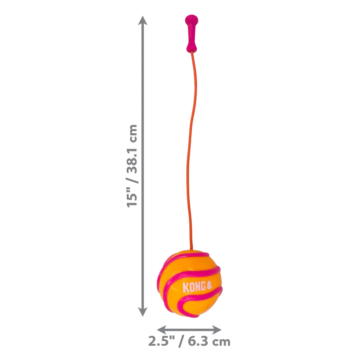Kong High-Viz Bunji Ball Throw