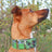 CandyPet Microchip Martingale Collar & Lead