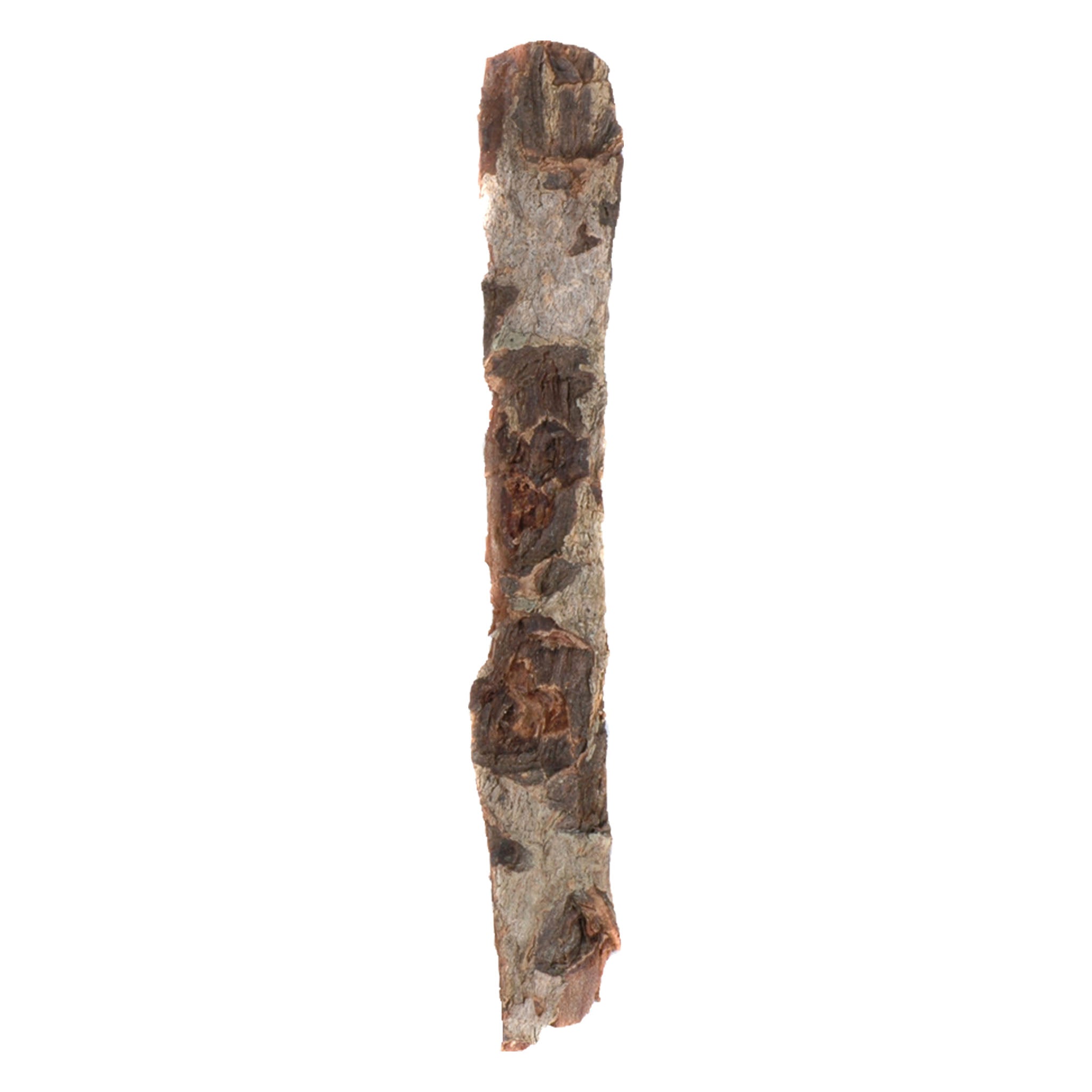 Dennerle Nano Catappa Bark