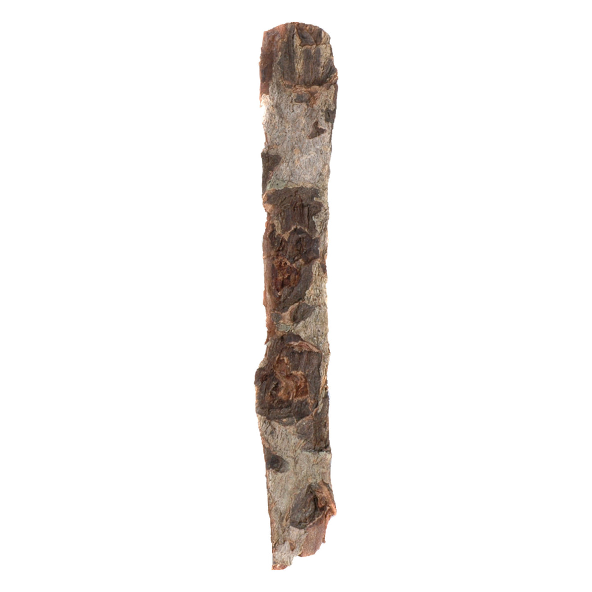 Dennerle Nano Catappa Bark