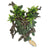 Betta Suction Cup Willow Mask Ornament