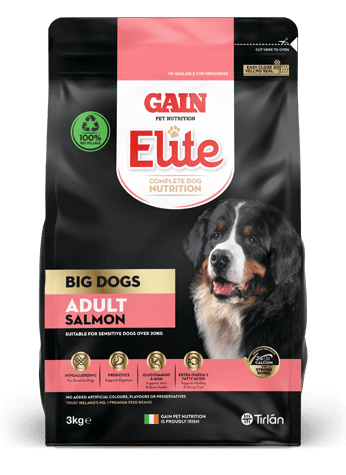 Gain Elite Big Dog Salmon