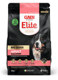Gain Elite Big Dog Salmon
