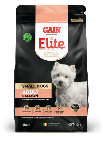 Gain Elite Small Dog Adult Salmon