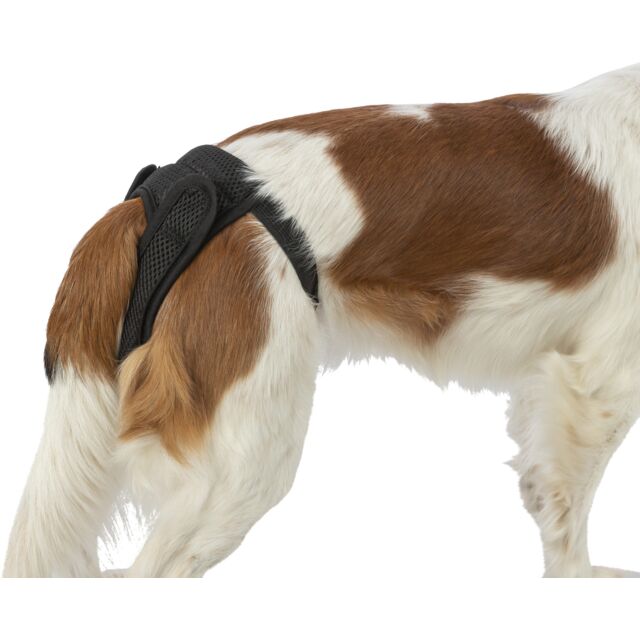 Trixie Protective Hygiene Pants