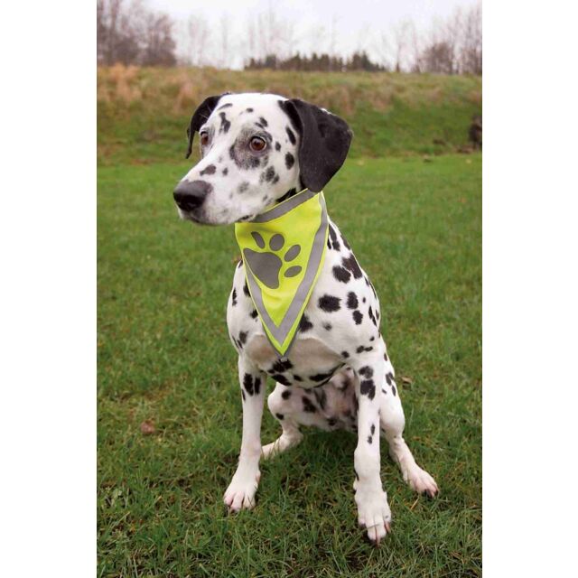 Trixie Safety Dog Bandana