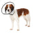 Trixie Protective Pet Cone with Velcro Fastener