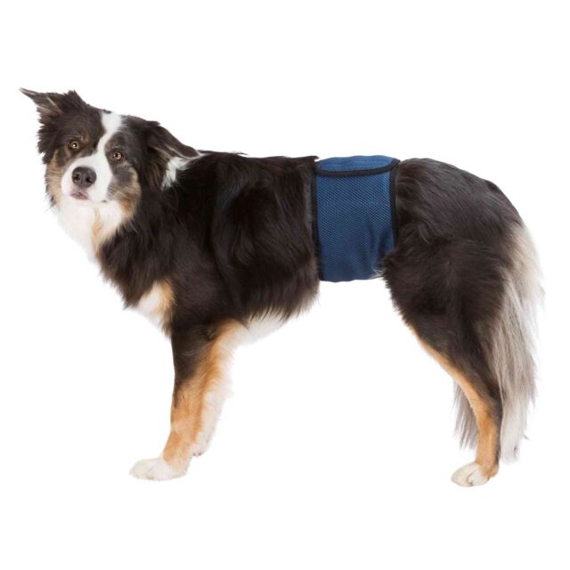 Trixie Washable Diaper for Male Dogs