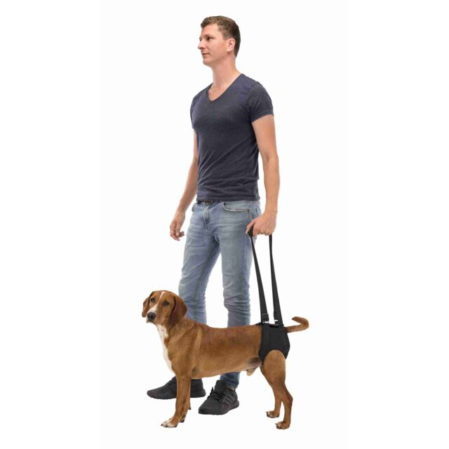 Trixie Adjustable Pet Walking Aid