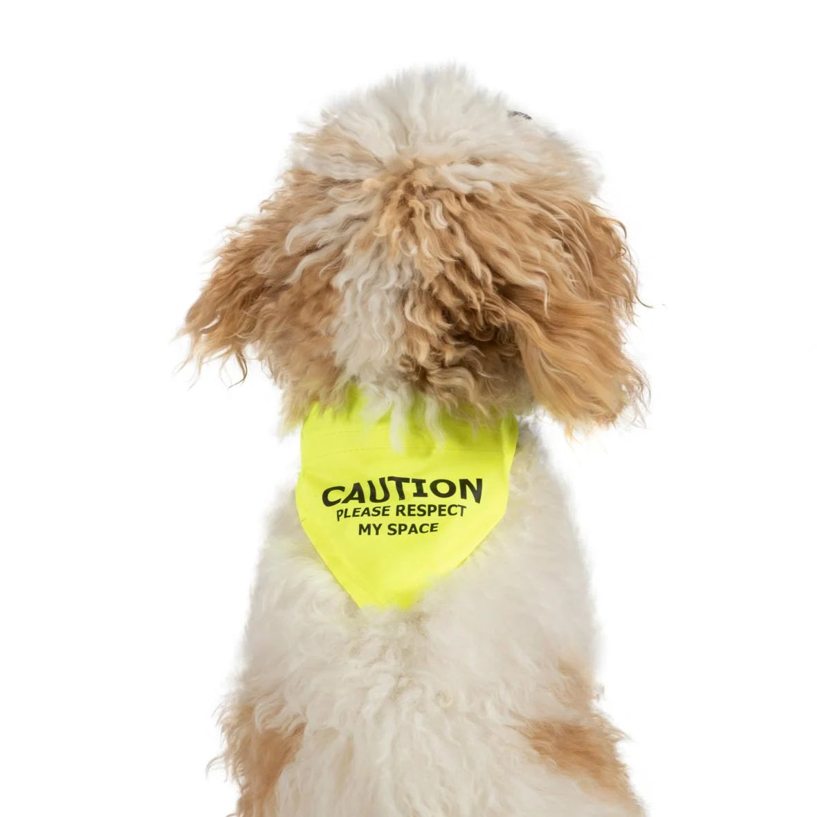 Ancol Warning Pet Bandana (Respect My Space) - Yellow