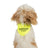 Ancol Warning Pet Bandana (Respect My Space) - Yellow