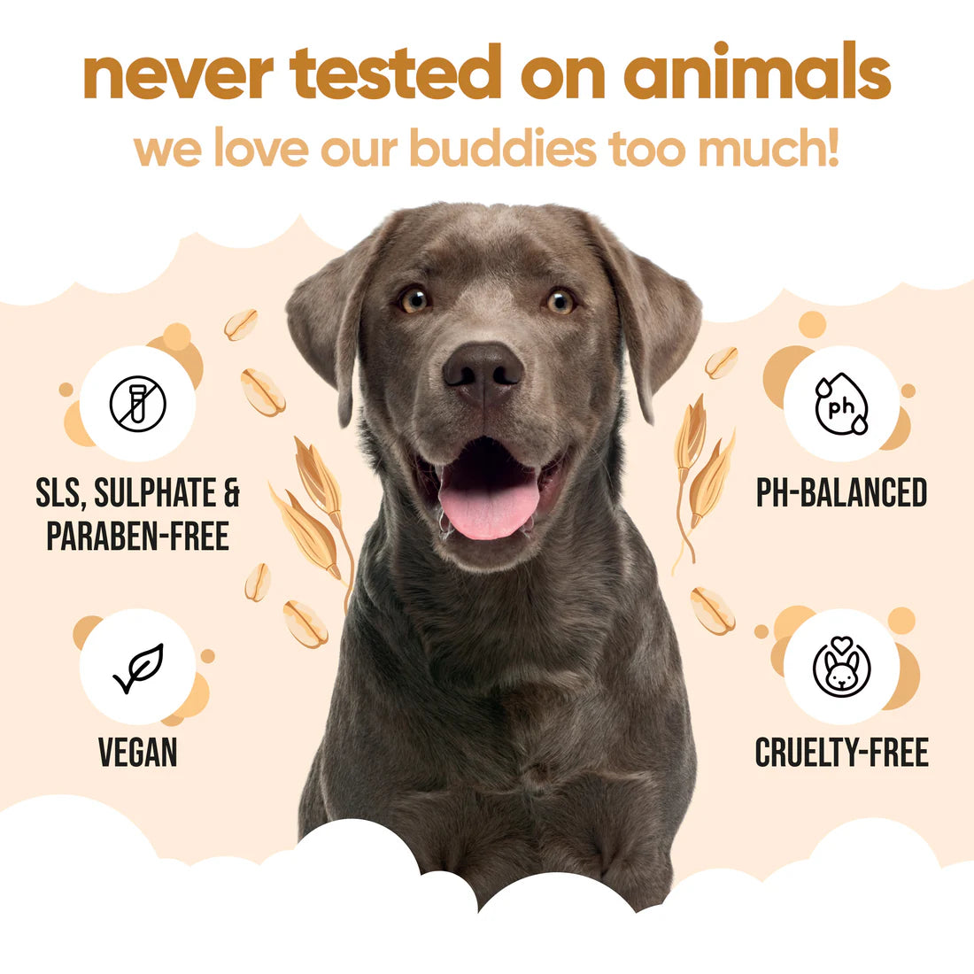 BuddyCare Oatmeal Dog Shampoo 500ml
