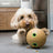 Kong Bamboo Feeder Ball