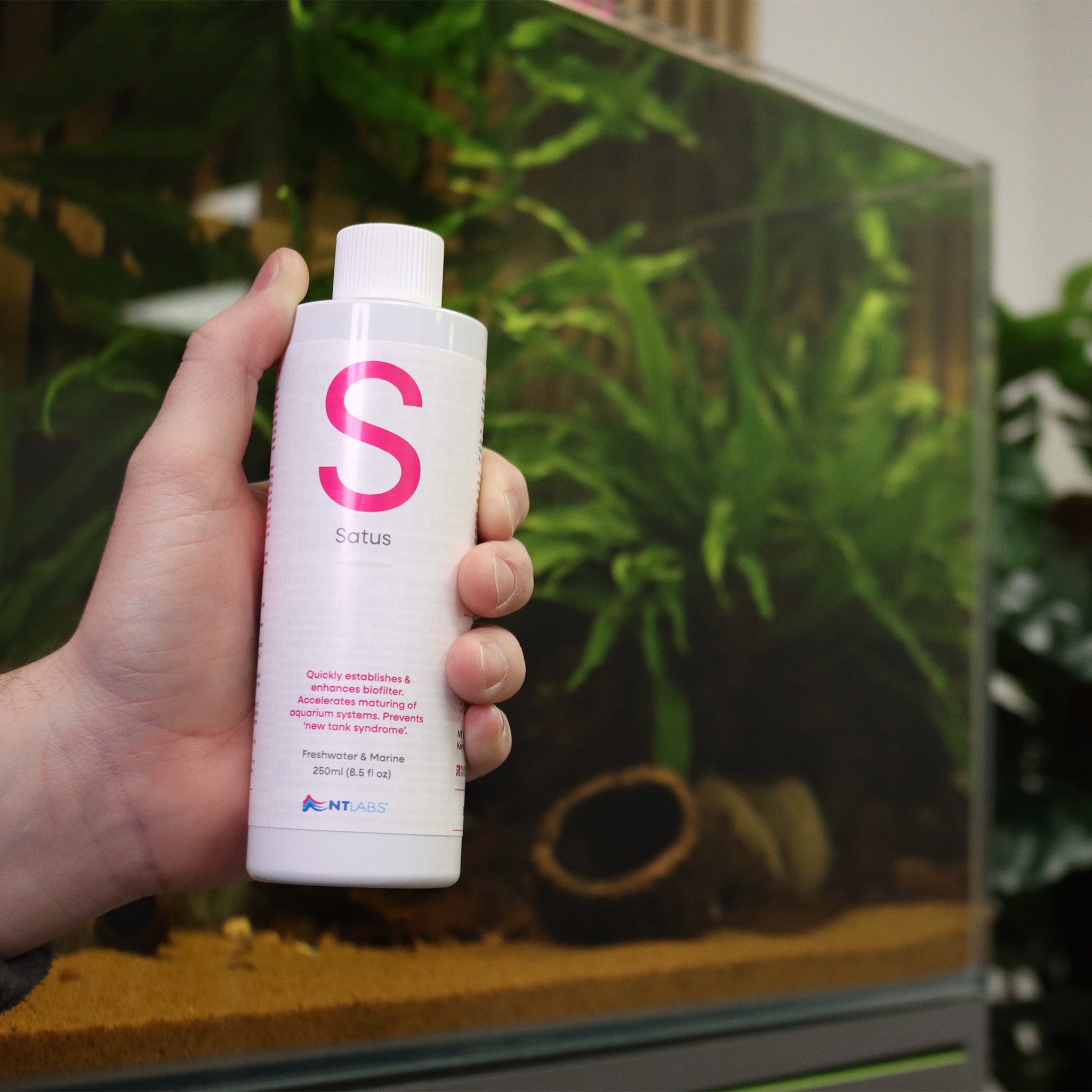 Satus Rapid Bacteria 250ML