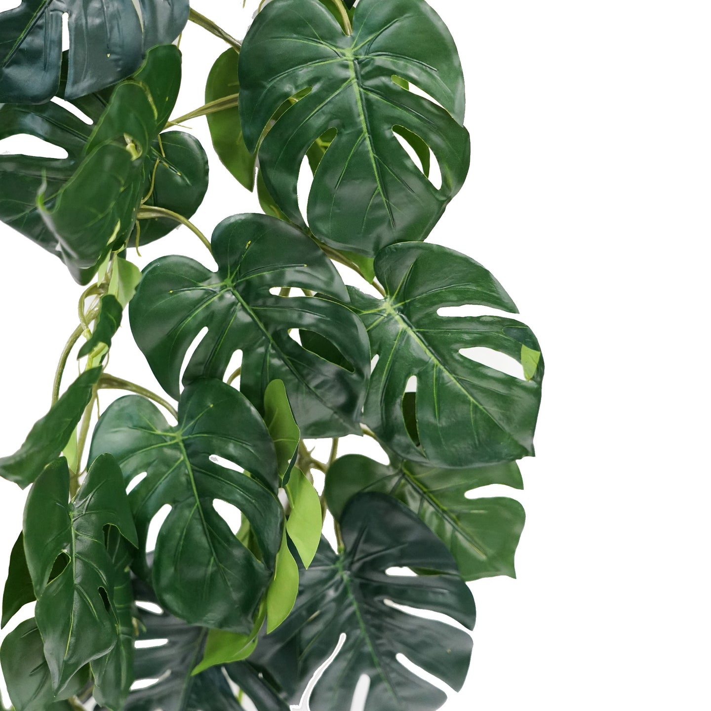 Betta Terra Banana Leaf Synthetic Reptile Plant 80cm