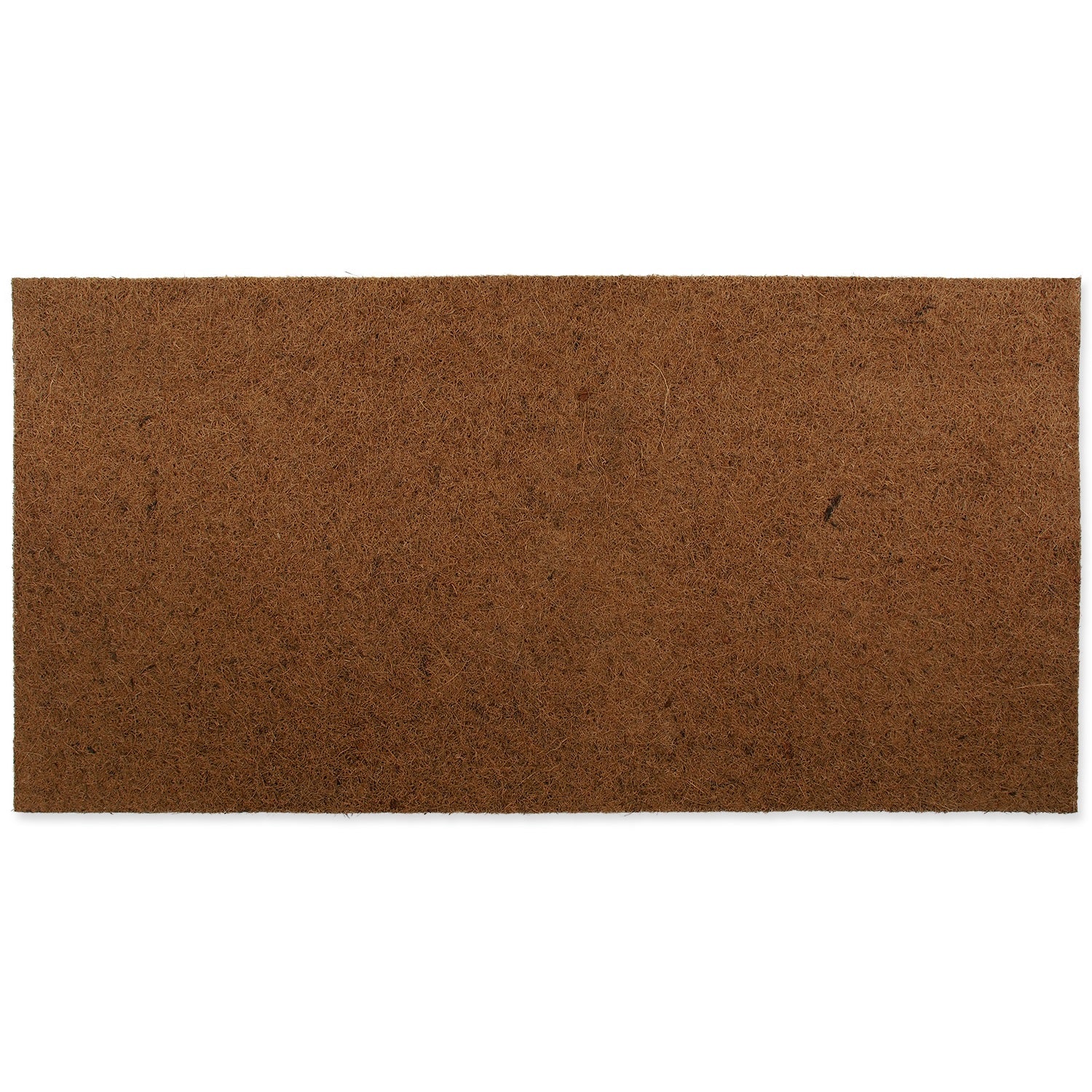 ReptiPlanet Coco Vivarium Background 100x50cm