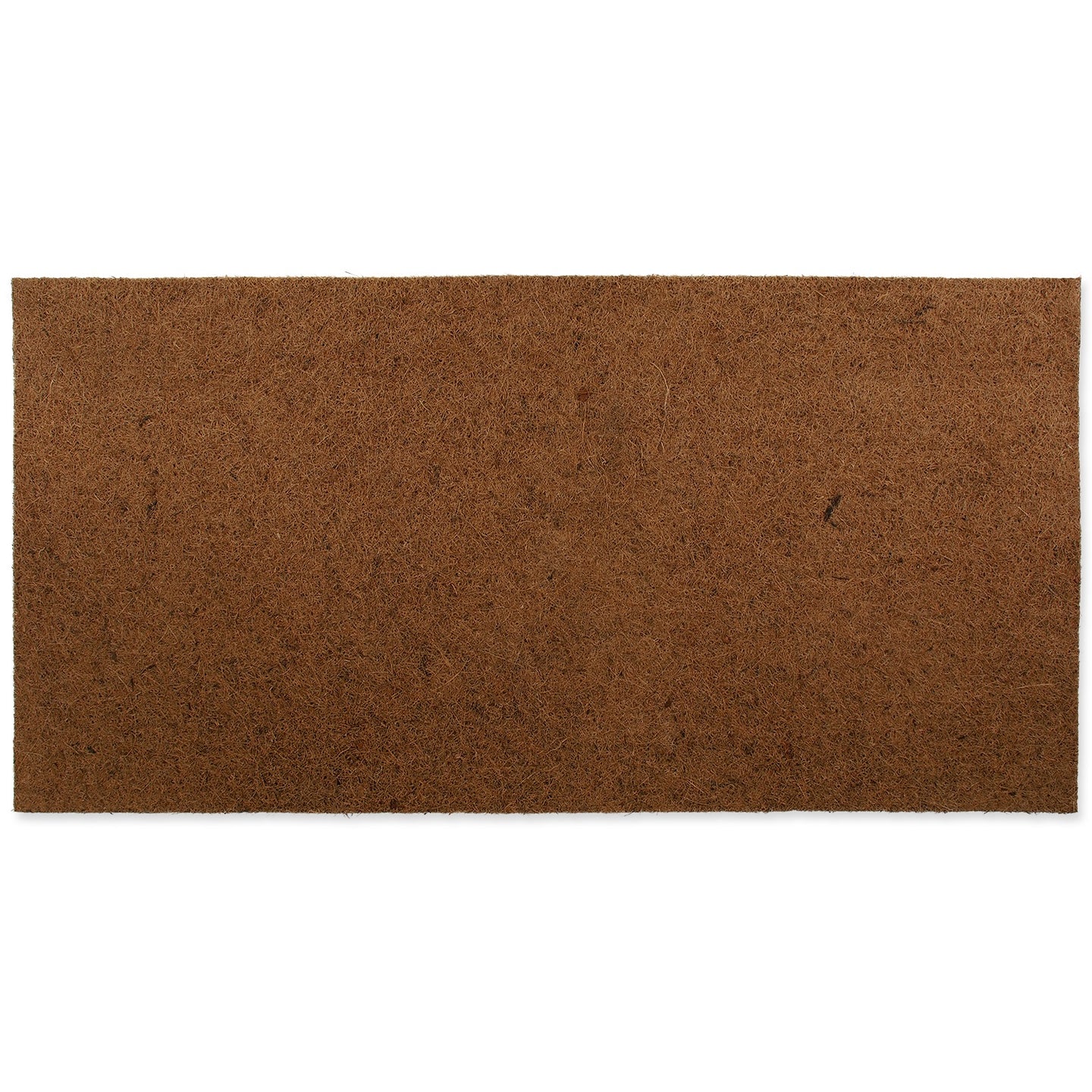 ReptiPlanet Coco Vivarium Background 100x50cm