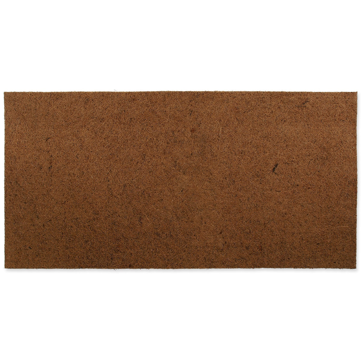 ReptiPlanet Coco Vivarium Background 100x50cm