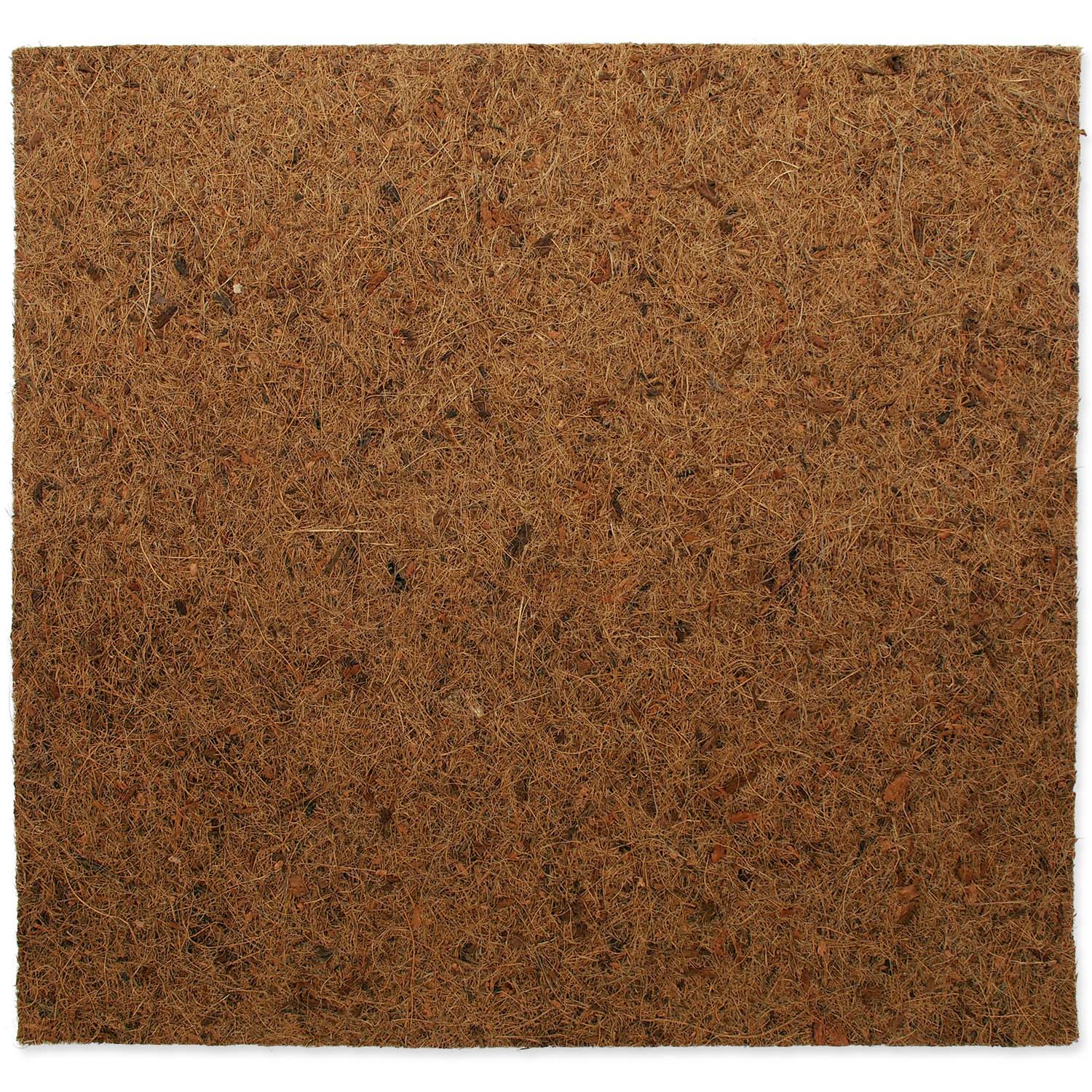 ReptiPlanet Coco Vivarium Background 50x50cm
