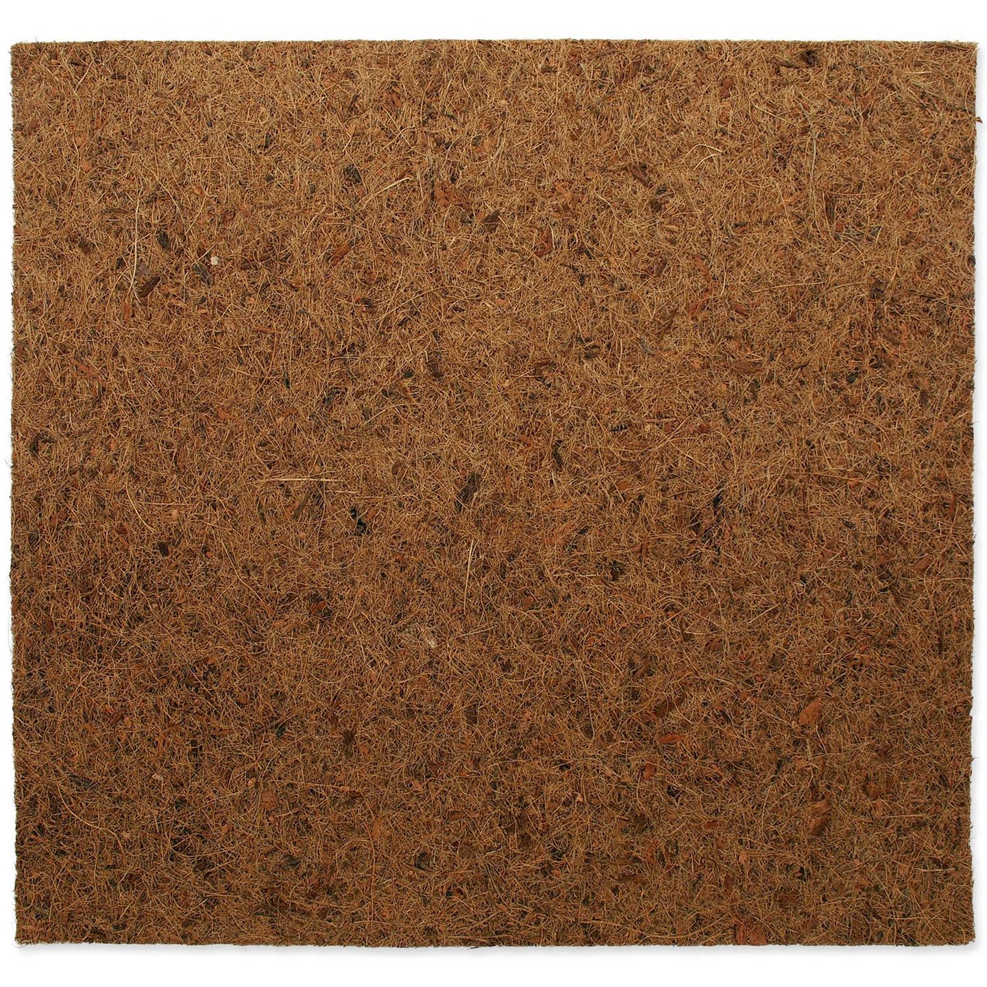 ReptiPlanet Coco Vivarium Background 50x50cm
