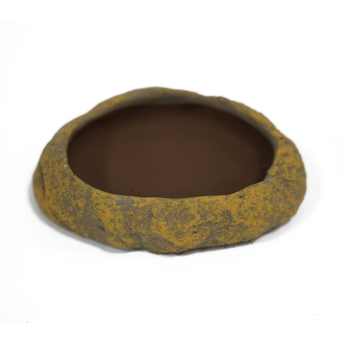 Betta Terra Small Ceramic Dish