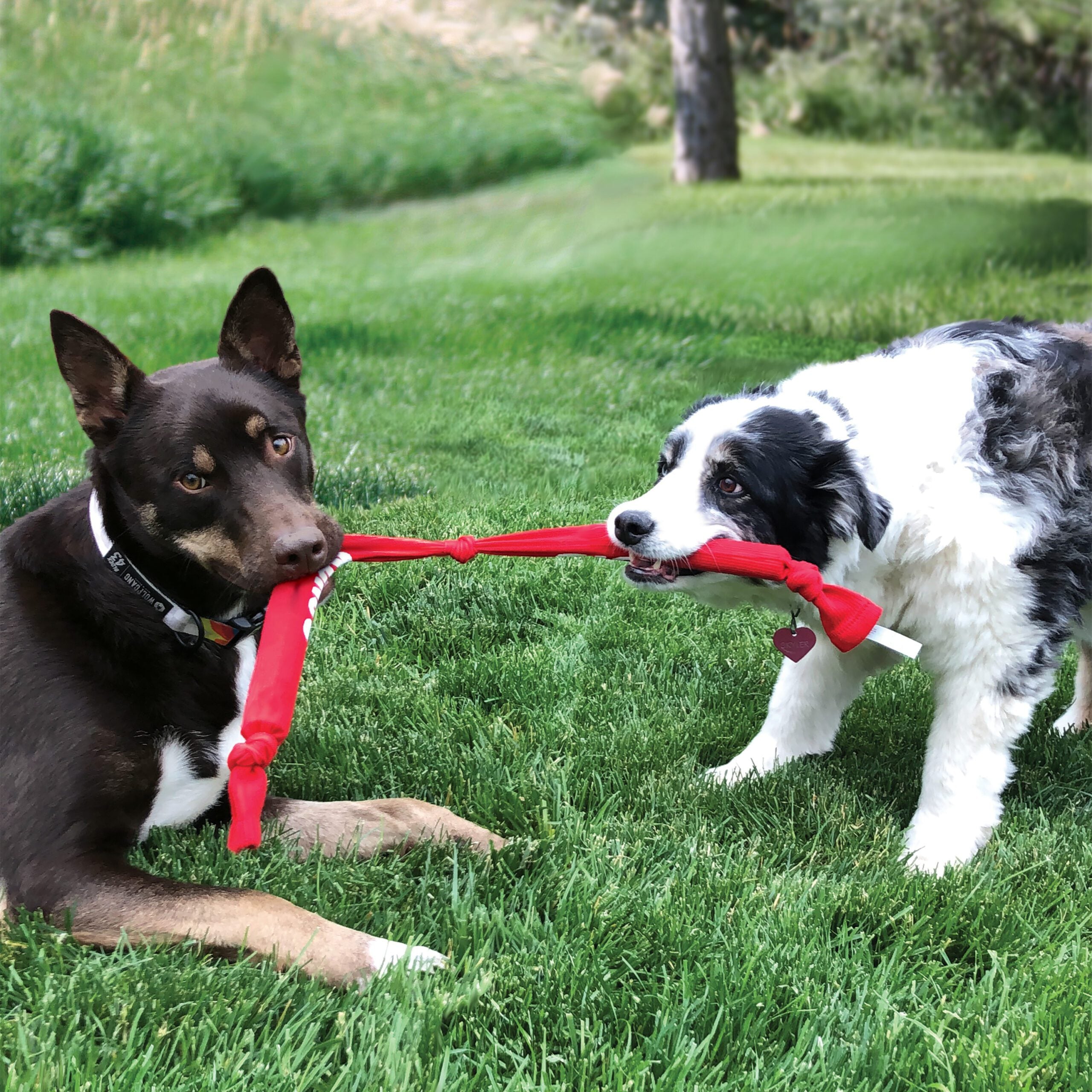 Kong Signature Crunch Rope Triple