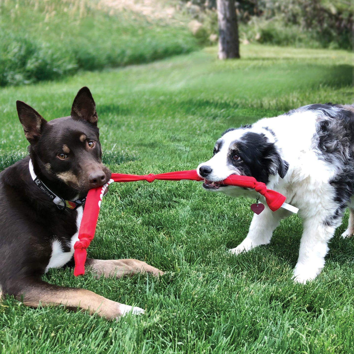 Kong Signature Crunch Rope Triple