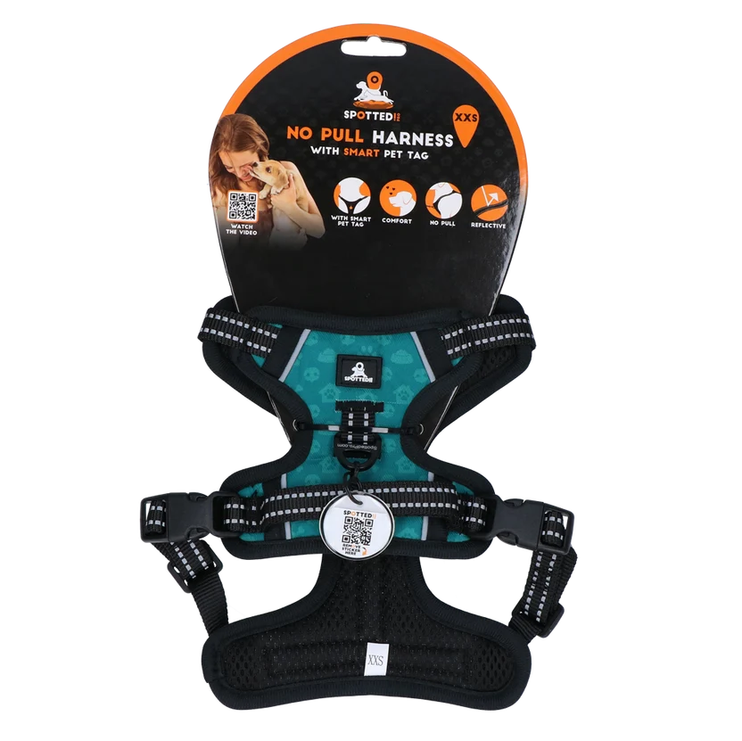 Spotted Pro 2 Point Harness XXS Green