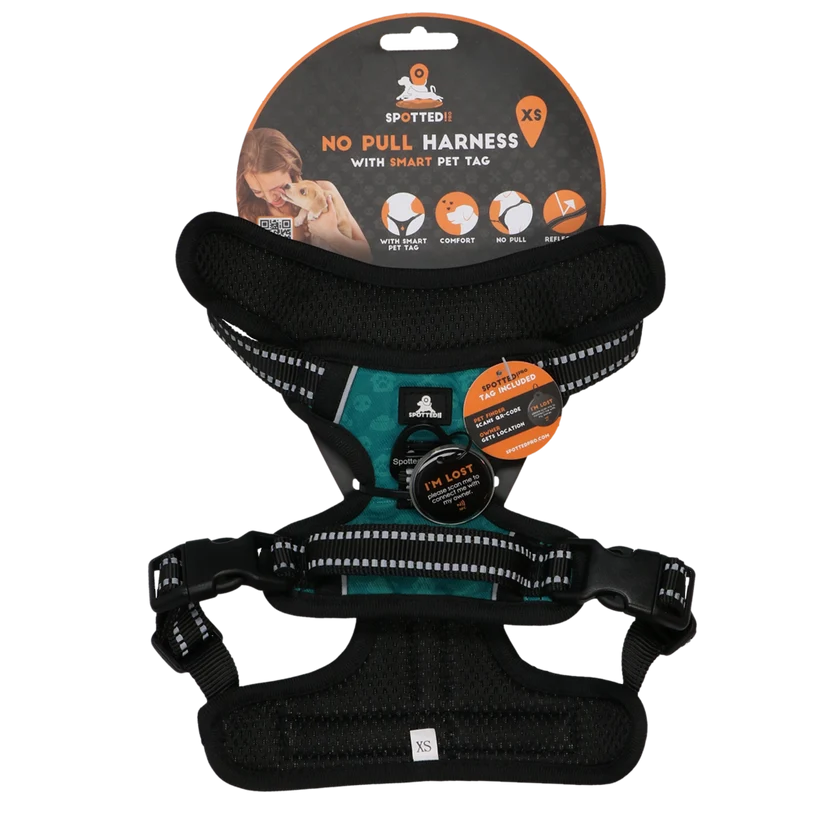 Spotted Pro 2 Point Harness Green XS