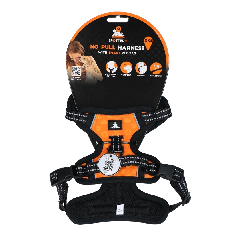 Spotted Pro 2 Point Harness Orange XXS
