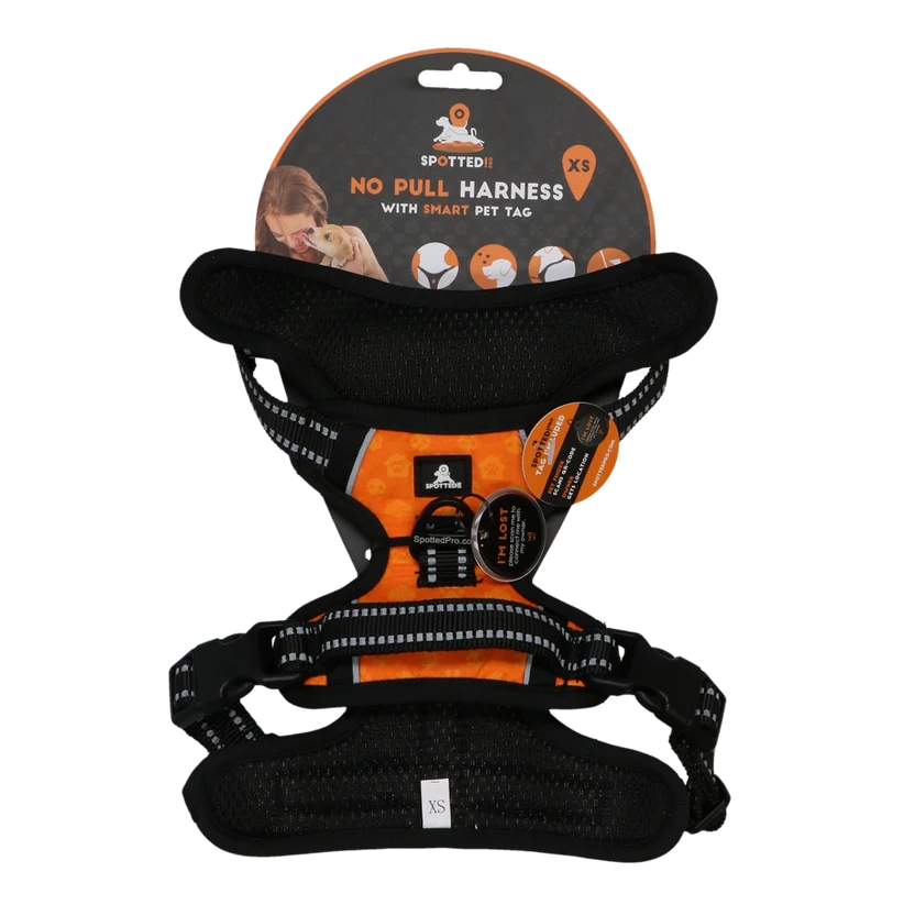 Spotted Pro 2 Point Harness Orange XS