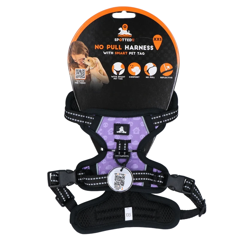Spotted Pro 2 Point Harness Purple XXS